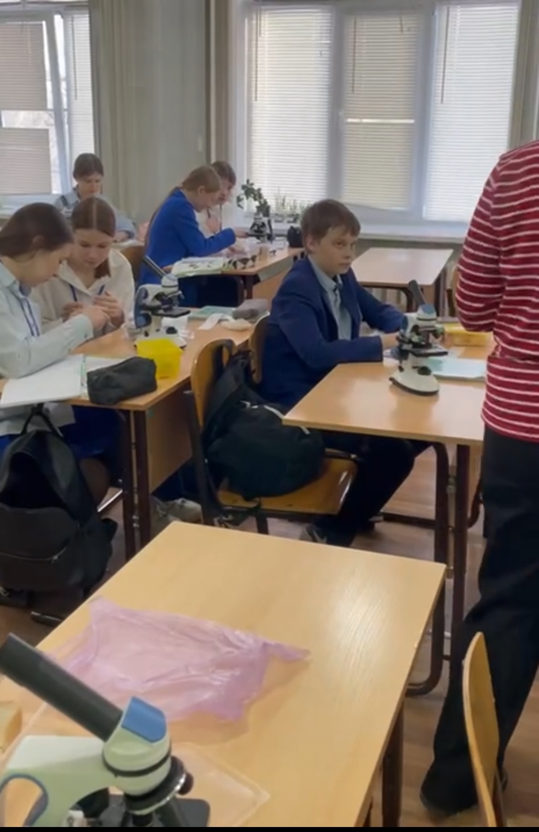Мастер класс по биологии.